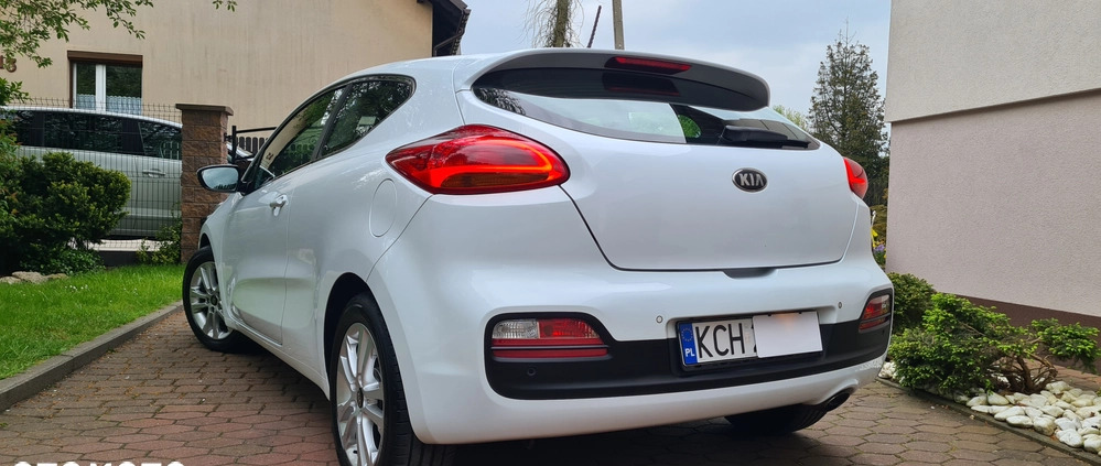 Kia Pro_cee'd cena 33900 przebieg: 190000, rok produkcji 2013 z Kietrz małe 781